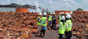 Penjelasan mekanisme pemilihan TBS di area PKS, serta otomatisasi penimbangan TBS dari hasil selisih saat truk masuk dan keluar.