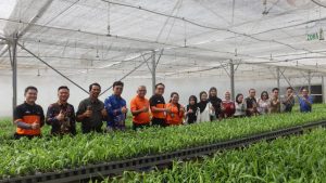 Lokasi green house pembibitan, dimana hasil rekayasa kultur jaringan yang dilakukan di laboratorium, dibesarkan di tempat ini sebelum nanti ditanam di lokasi kebun
